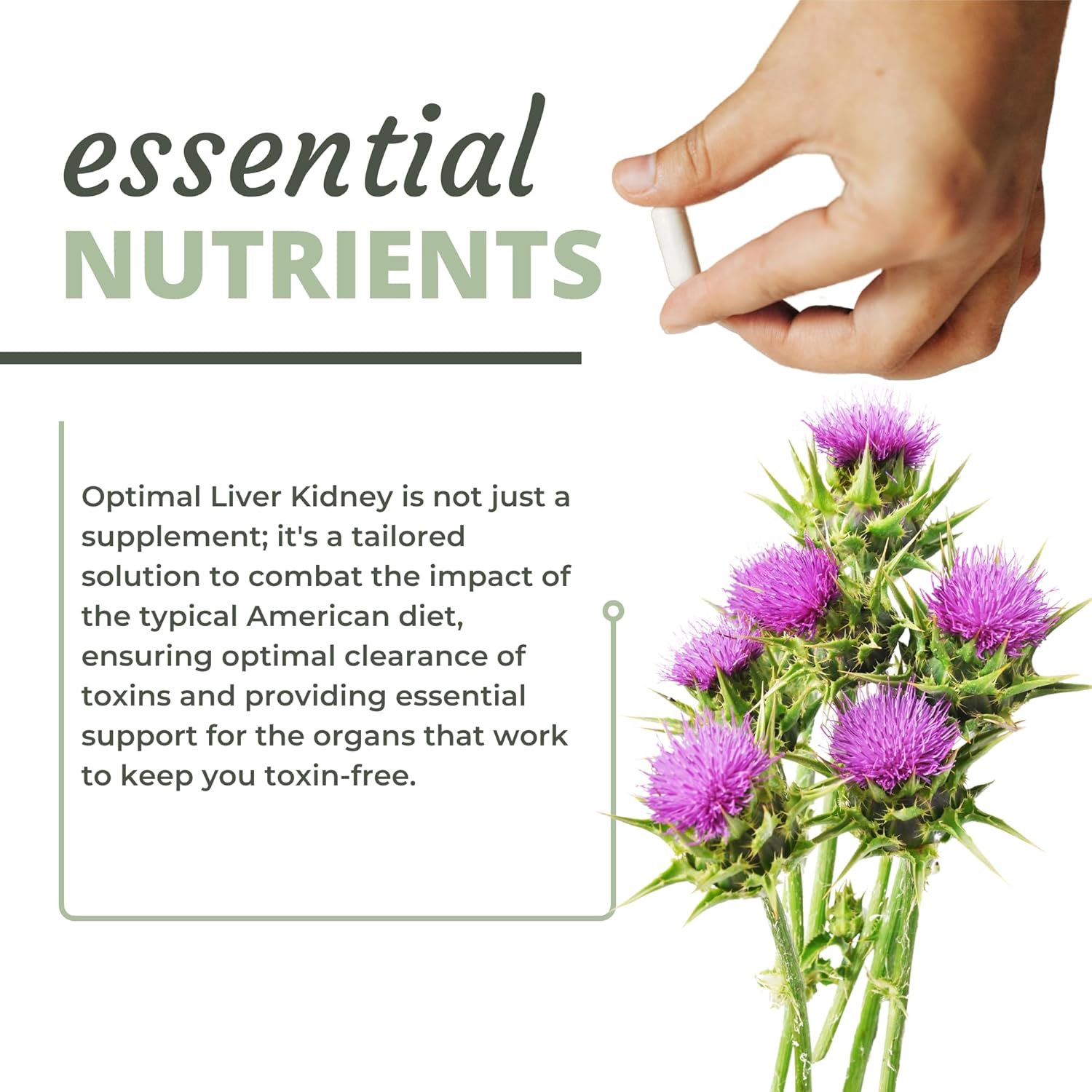 Optimal Liver and Kidney Support Supplement (90 Capsules) for Optimal Health