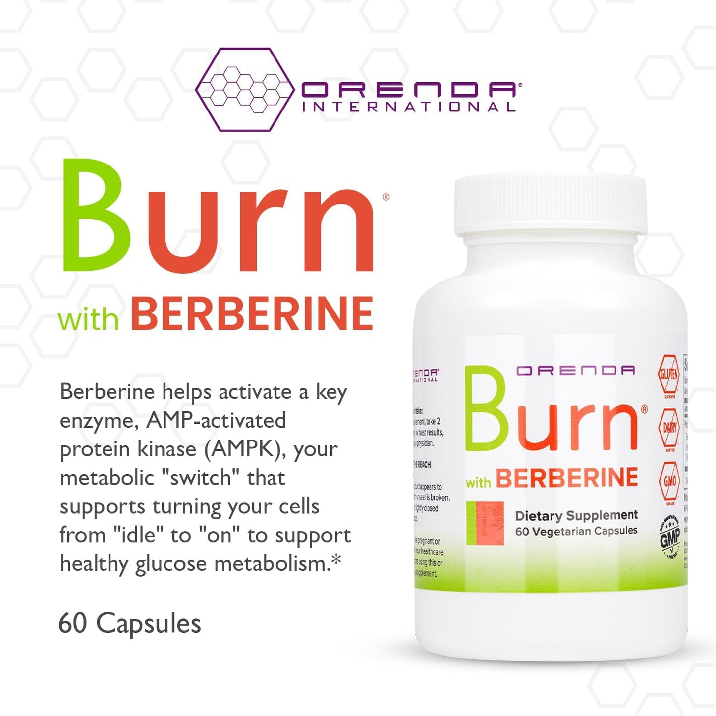 Orenda Burn Supplement - Berberine HCI, Green Coffee Extract, African Mango - Cardiovascular Support - 60 Capsules
