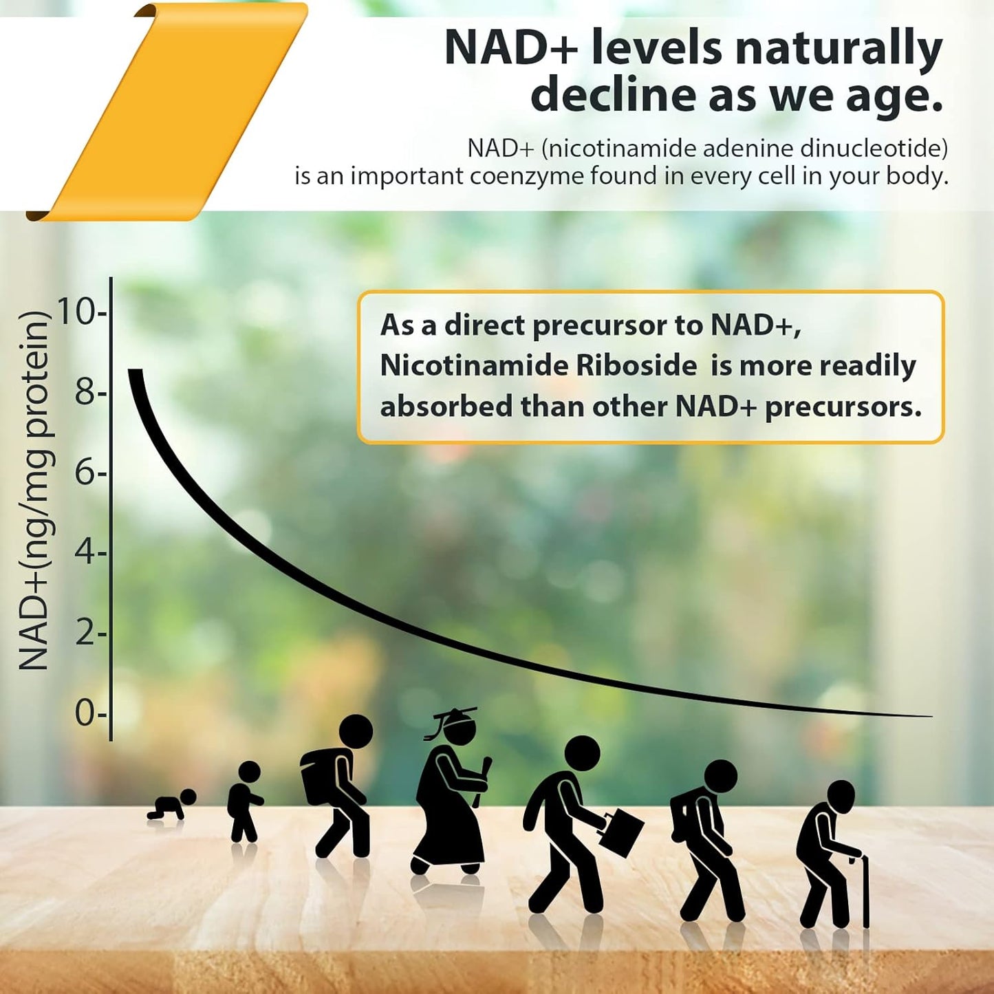 Orgabay Liposomal NR 2000 MG with TMG and Pterostilbene | NAD+ Booster for Healthy Aging | 120 Capsules