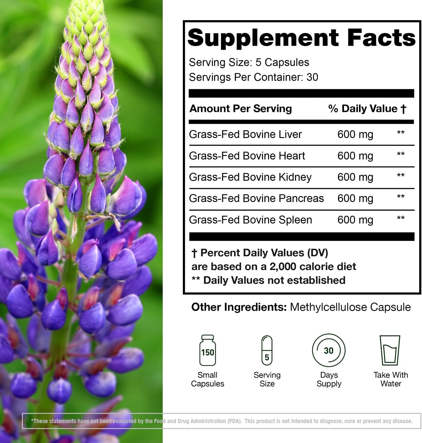 Organ Complex Supplement 3000mg - Grass Fed Beef Liver, Heart, Kidney, Pancreas, Spleen - Whole Body Wellness Support - Energy, Immune & Digestive Health - 150 Capsules