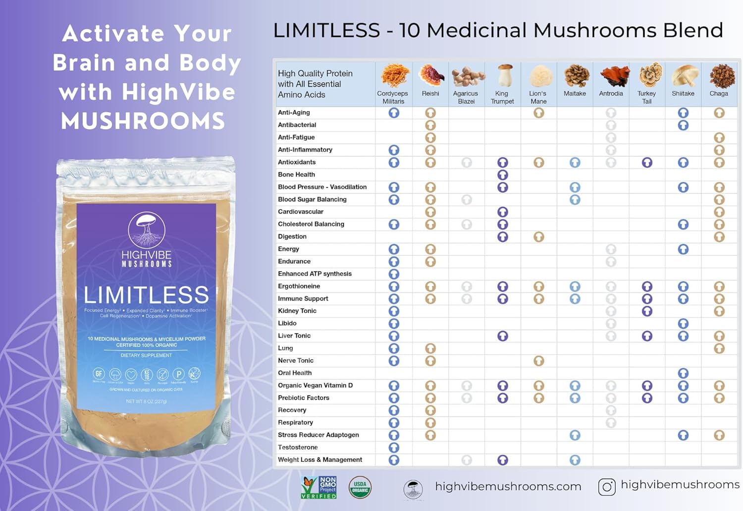 Organic 10-in-1 Mushroom Powder Blend for Focused Energy and Immunity - Vegan & Kosher