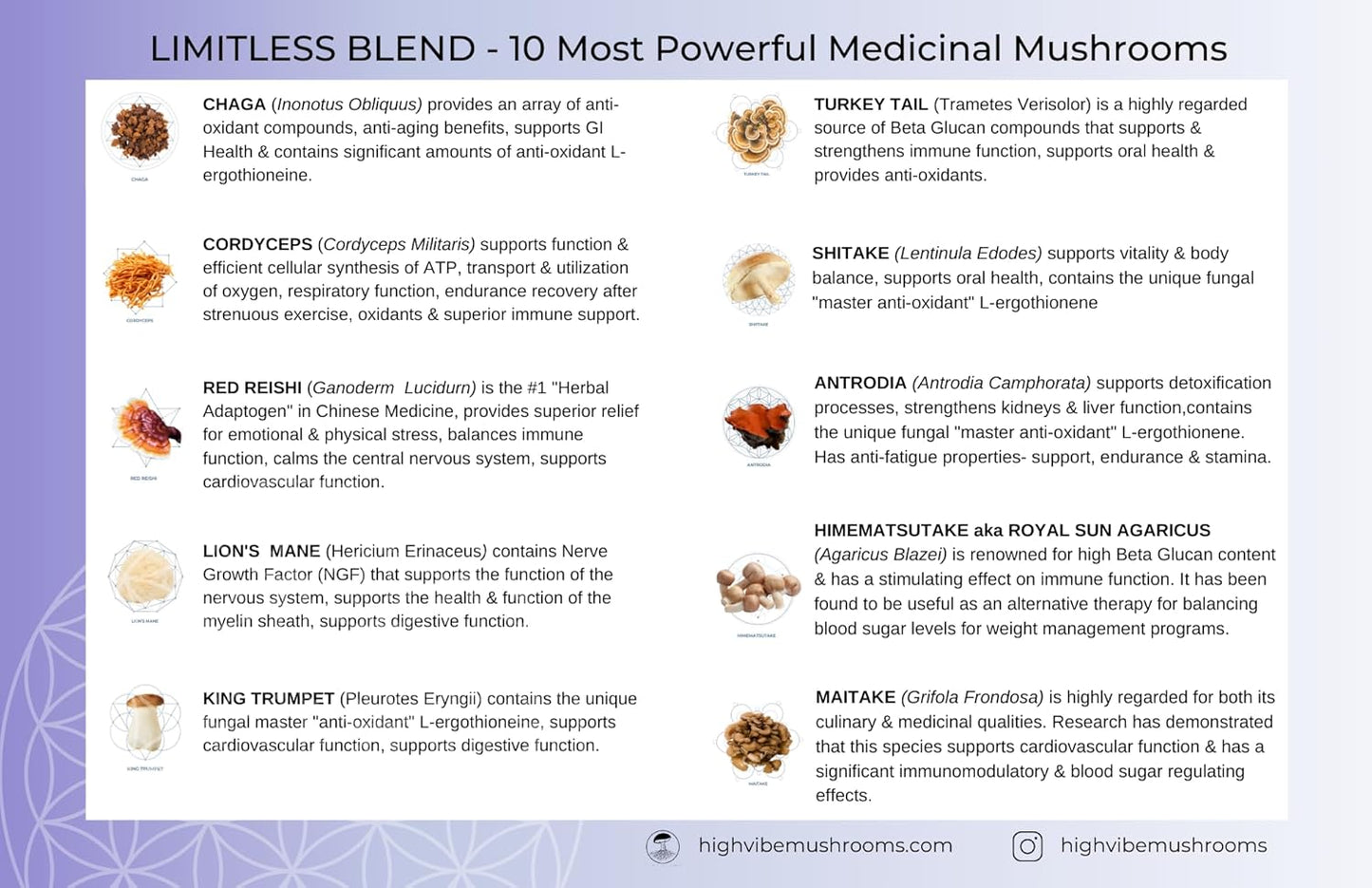 Organic 10-in-1 Mushroom Powder Blend for Focused Energy and Immunity - Vegan & Kosher