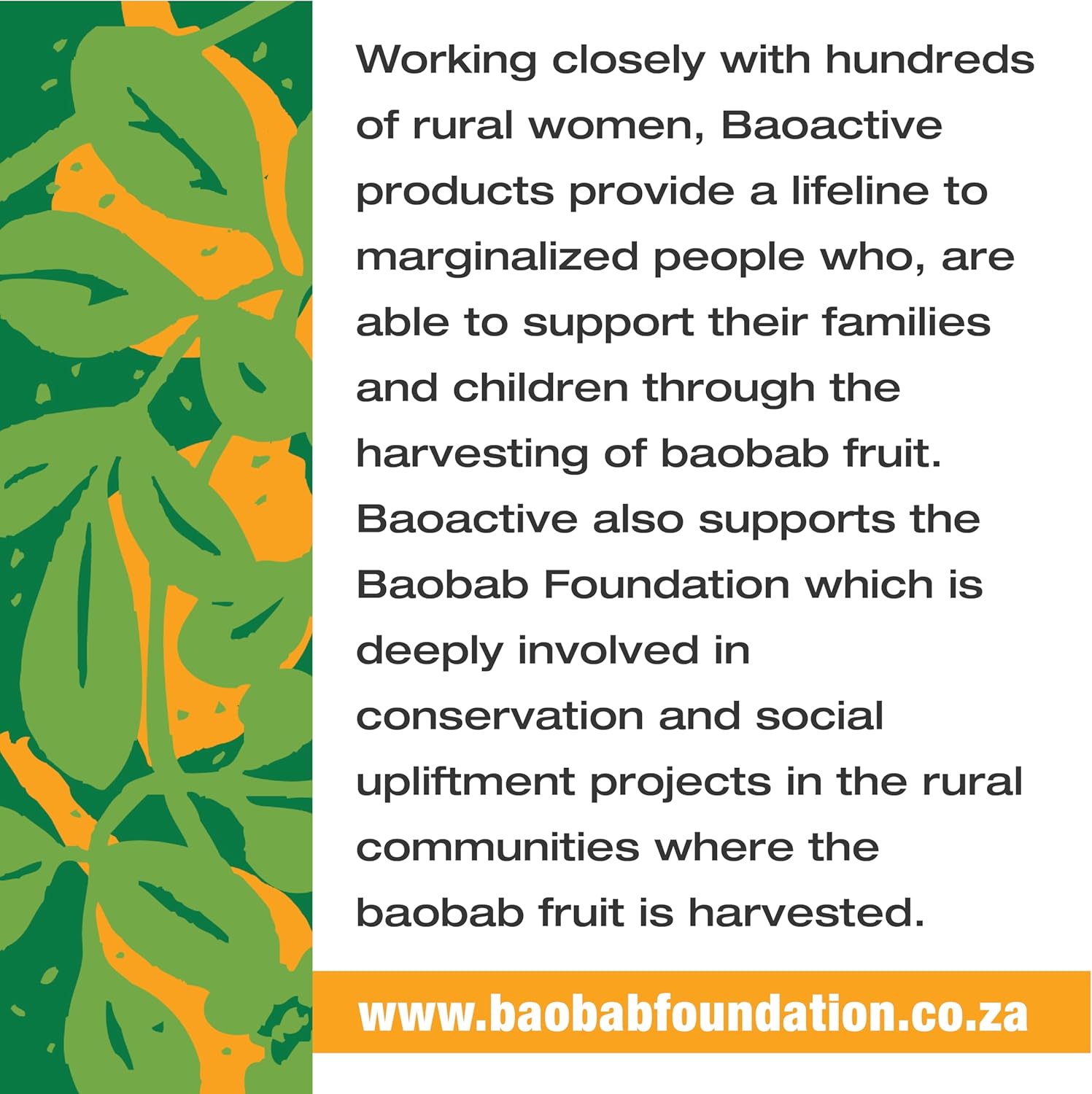 Organic 100% Baobab and Moringa Powder Superblend 300g | From South Africa | Supports Gut Health & Digestion | USDA Certified