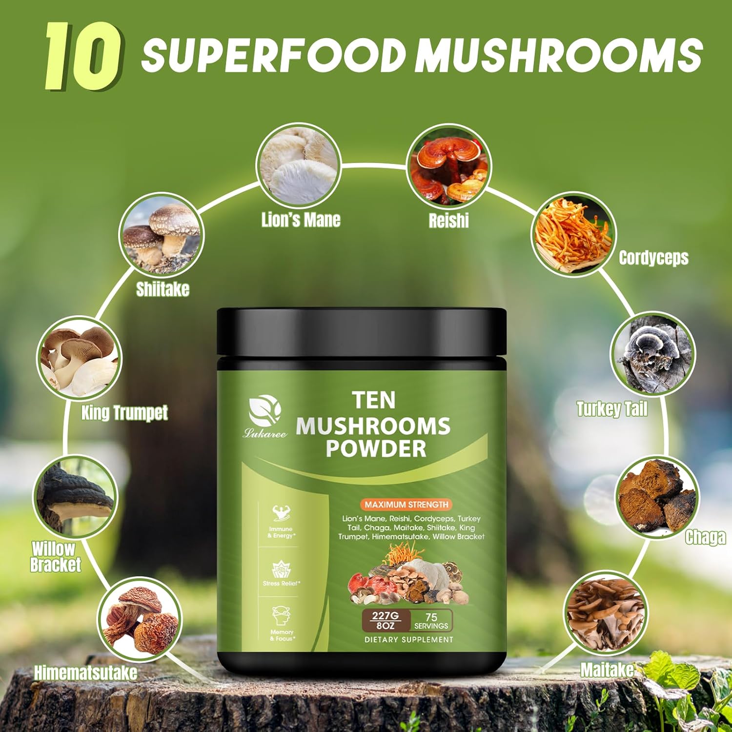 Organic 14-in-1 Mushroom Powder Blend for Coffee & Cooking - 8 oz Supplement with Lions Mane, Chaga, Reishi, Turkey Tail, Cordyceps Extract Powder - Immune Support & Energy Boost