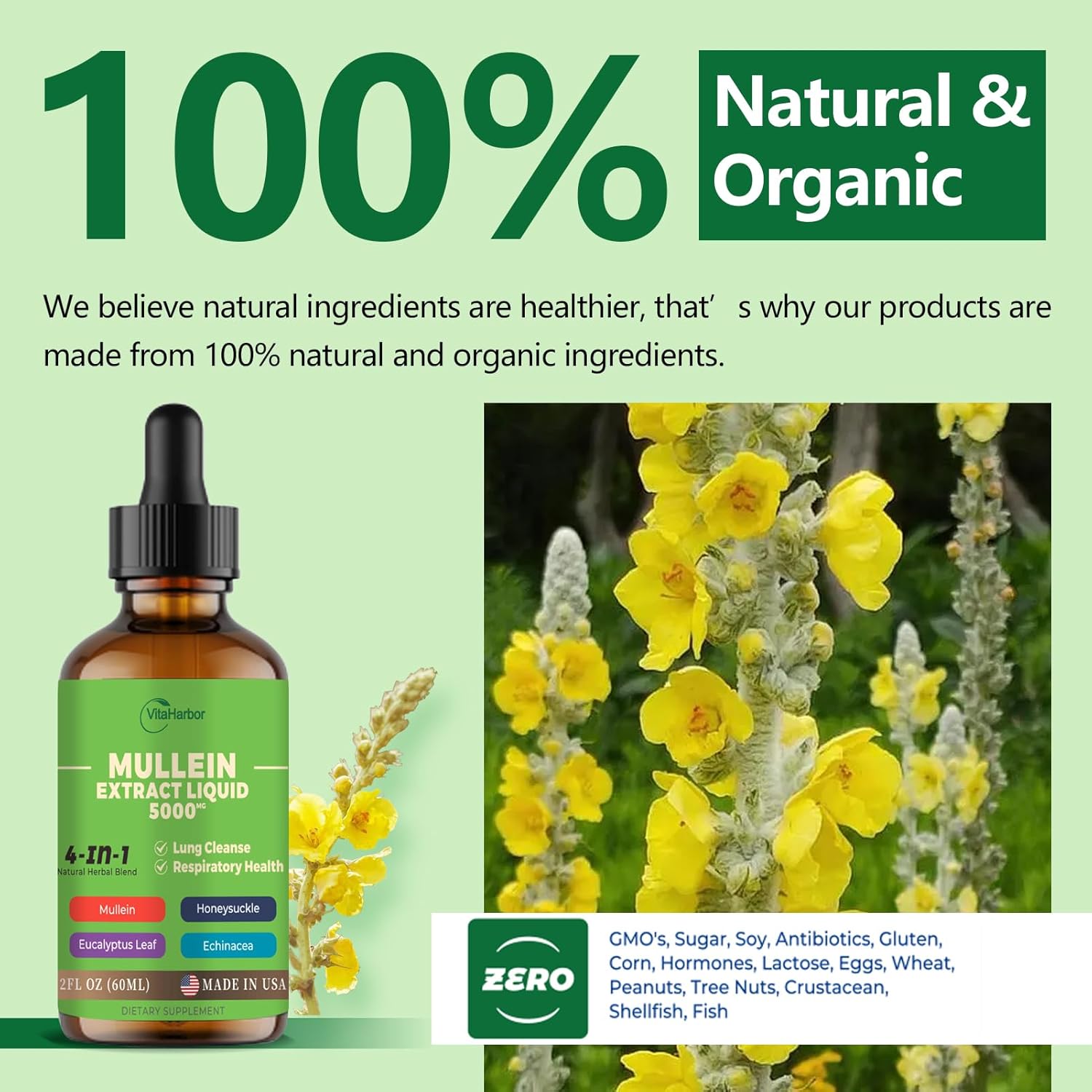 Organic 4-in-1 Mullein Drops for Lung Cleanse and Immune Support - 2 Fl oz Vegan Formula