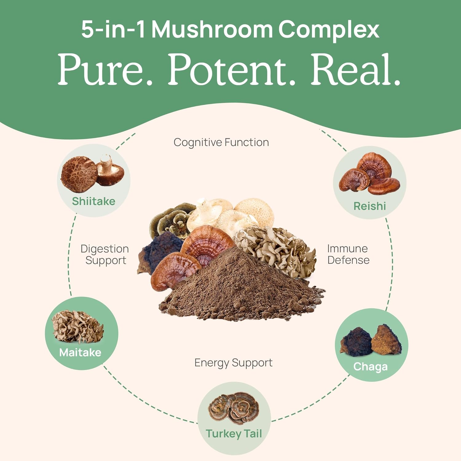 Organic 5 Defenders Mushroom Powder Extract with Chaga, Shiitake, Maitake, Turkey Tail, Reishi - Vegan, Non-GMO, 45 Servings