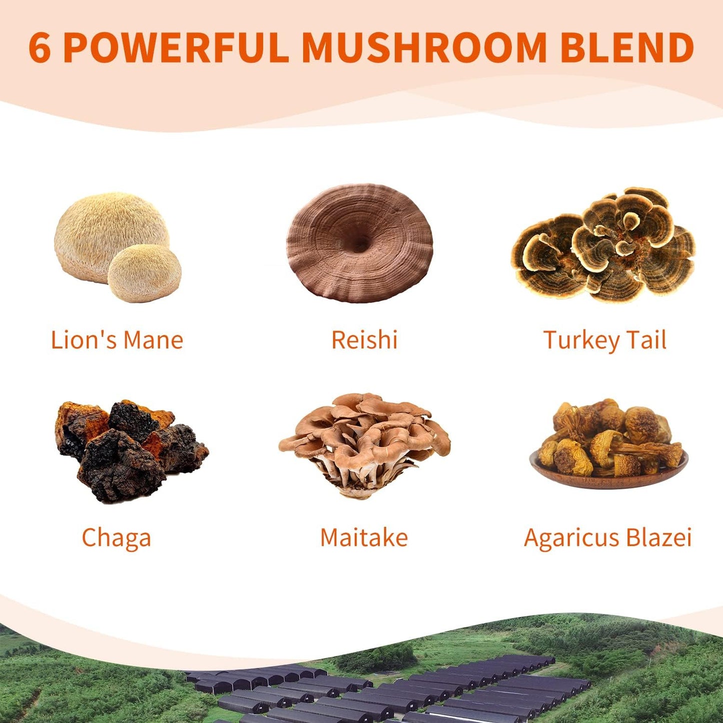 Organic 6-in-1 Mushroom Complex Supplement - 800mg Extract with Lions Mane, Reishi, Turkey Tail, Chaga, Maitake, Agaricus Blazei - 60 Capsules