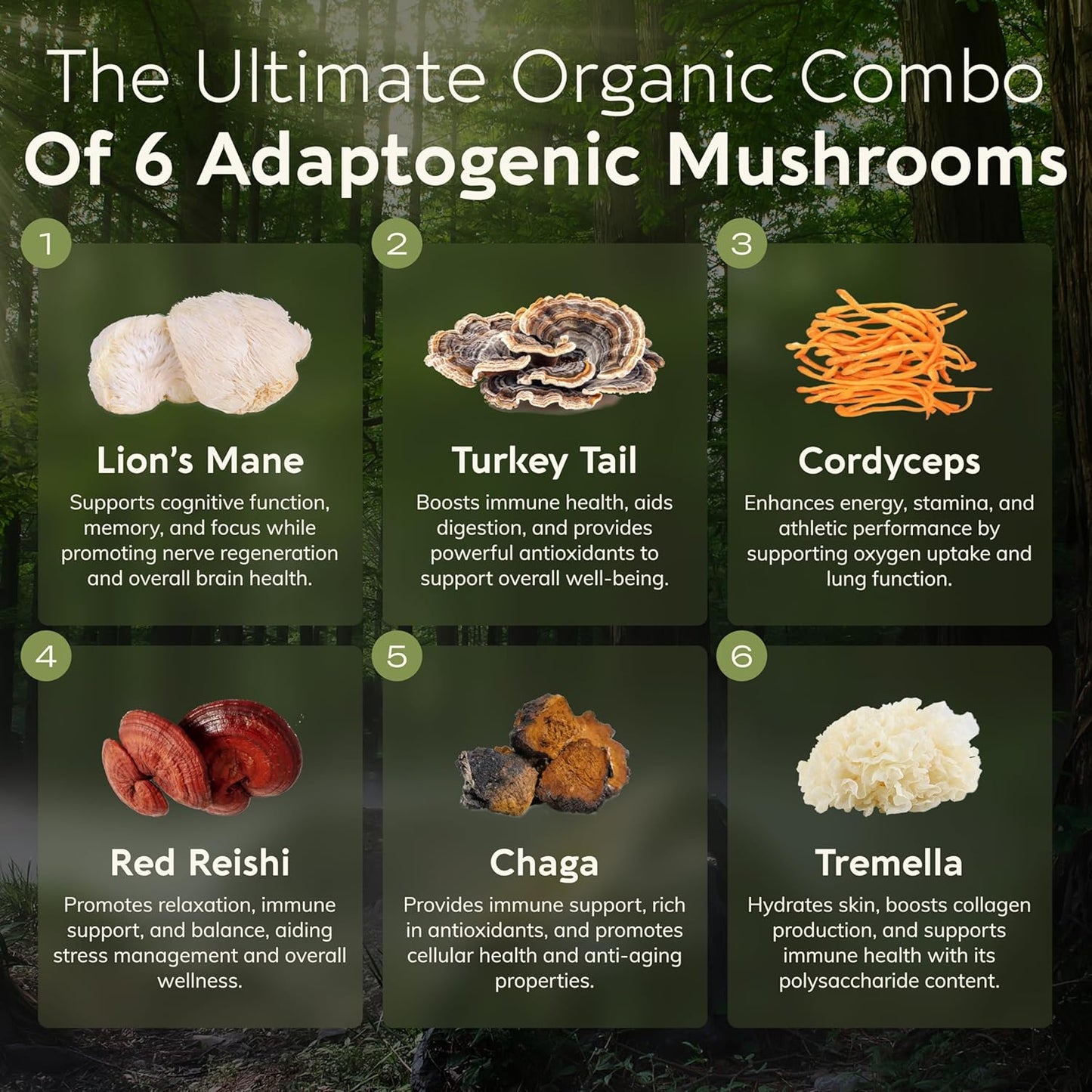 Organic 6 Mushroom Supplement Powder with Lions Mane, Reishi, Turkey Tail, Cordyceps, Tremella and Chaga - 100% Fruiting Body - 3.5 oz