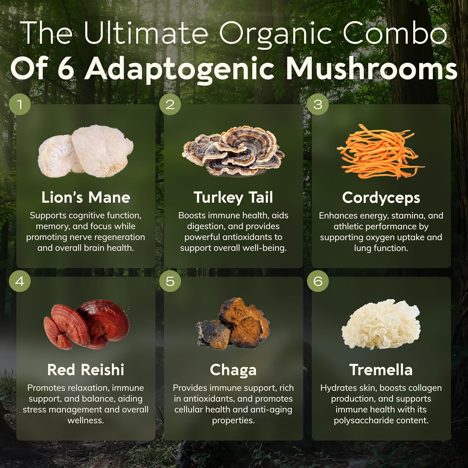 Organic 6 Mushroom Supplement Powder with Lions Mane, Reishi, Turkey Tail, Cordyceps, Tremella and Chaga - 100% Fruiting Body - 3.5 oz