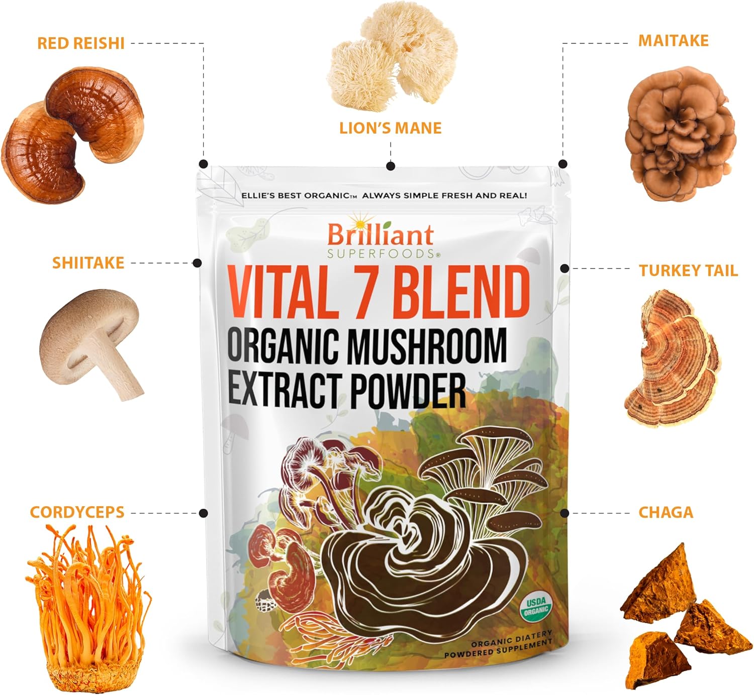 Organic 7 Mushroom Powder Extract Blend Supplement by Ellie's Best - Reishi, Lion's Mane, Chaga, Turkey Tail, Cordyceps, Maitake & Shiitake - Double Extracted - 16oz / 456 Servings