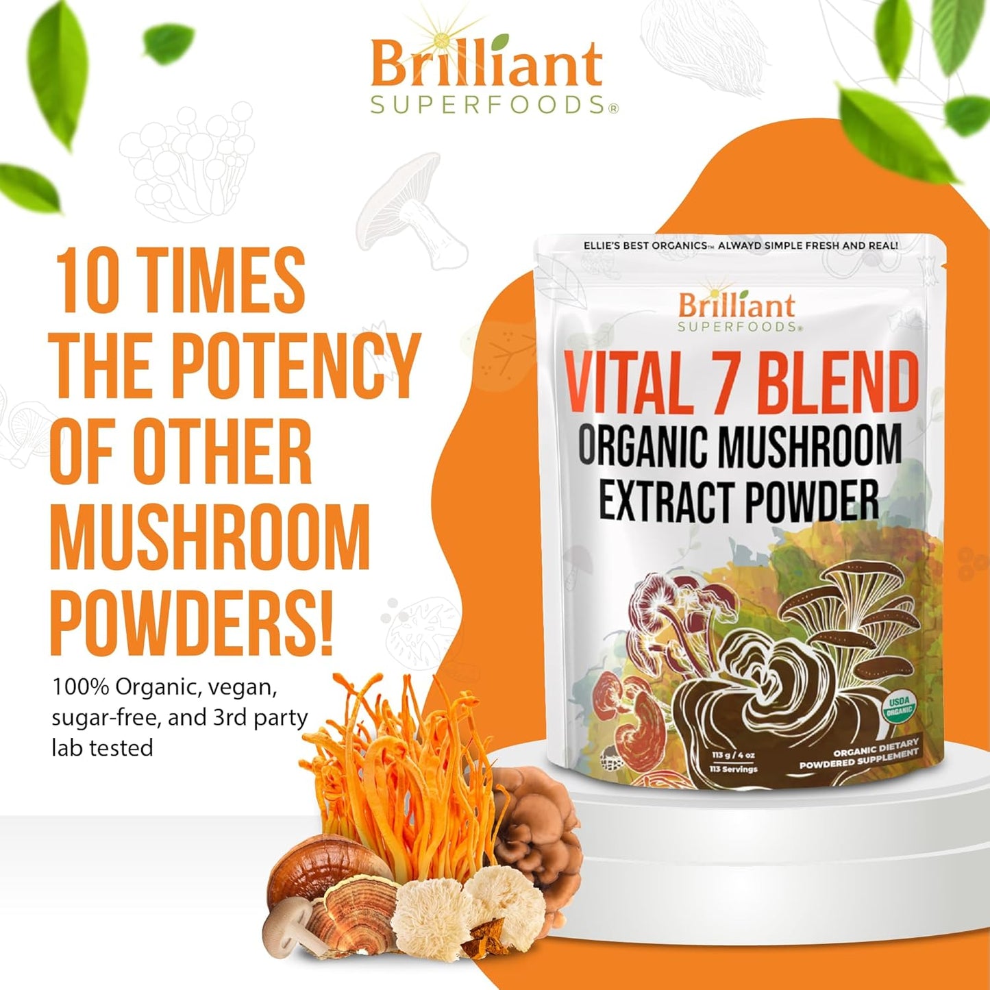 Organic 7 Mushroom Powder Extract Blend Supplement by Ellie's Best - Reishi, Lion's Mane, Chaga, Turkey Tail, Cordyceps, Maitake & Shiitake - Double Extracted - 16oz / 456 Servings