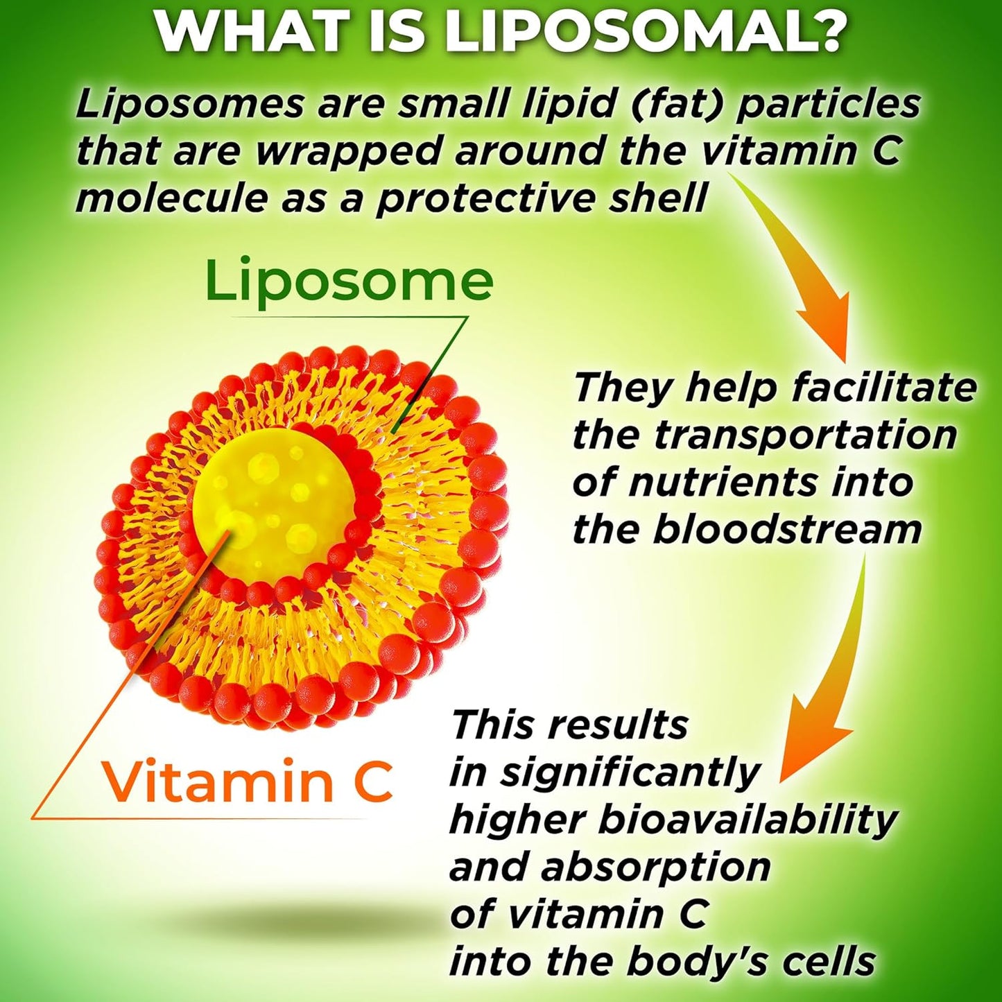Organic Acerola Cherry Liposomal Vitamin C Capsules - 1100mg - Immune Support Supplement with Enhanced Absorption - 120 Count