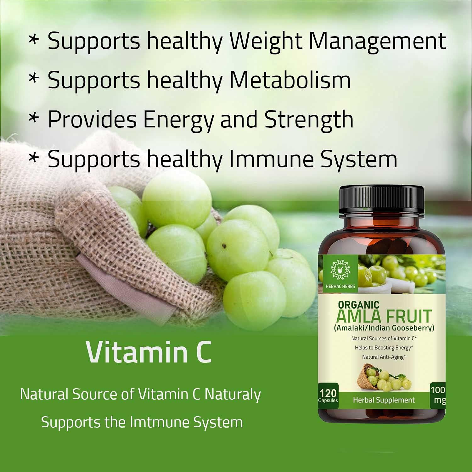 Organic Amla Capsules - 120 Count | Antioxidant Amlaki Amla Supplement | Pure Phyllanthus Emblica Extract in Capsule Form