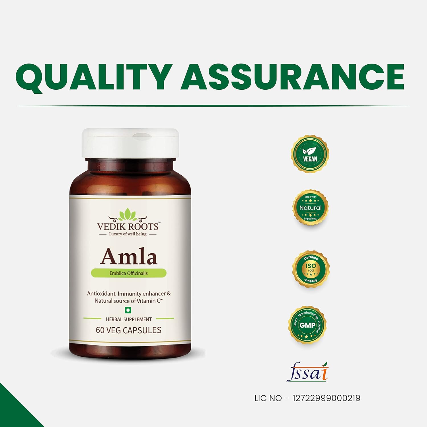 Organic Amla Capsules - Immunity Booster with Vitamin C - Herbal Supplements - 60 Capsules