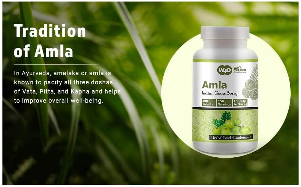 Organic Amla Fruit Extract Capsules - 300 Pills, 1000 mg, Amalaki Fruit Supplement, Pack of 1