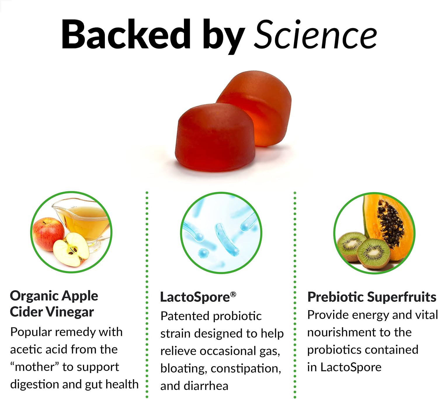 Organic Apple Cider Vinegar Gummies with Women's Multivitamin - Berry Flavored Daily Vitamins for Women