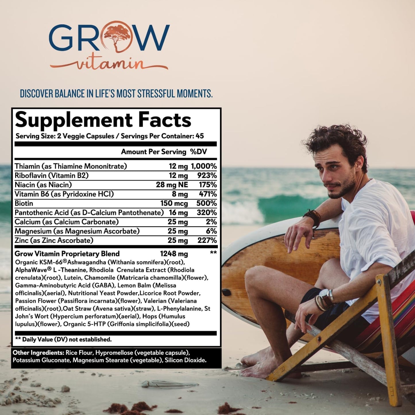 Organic Ashwagandha & L-Theanine Stress Relief Formula - Mood & Cognitive Support, Brain Health - 90 Capsules