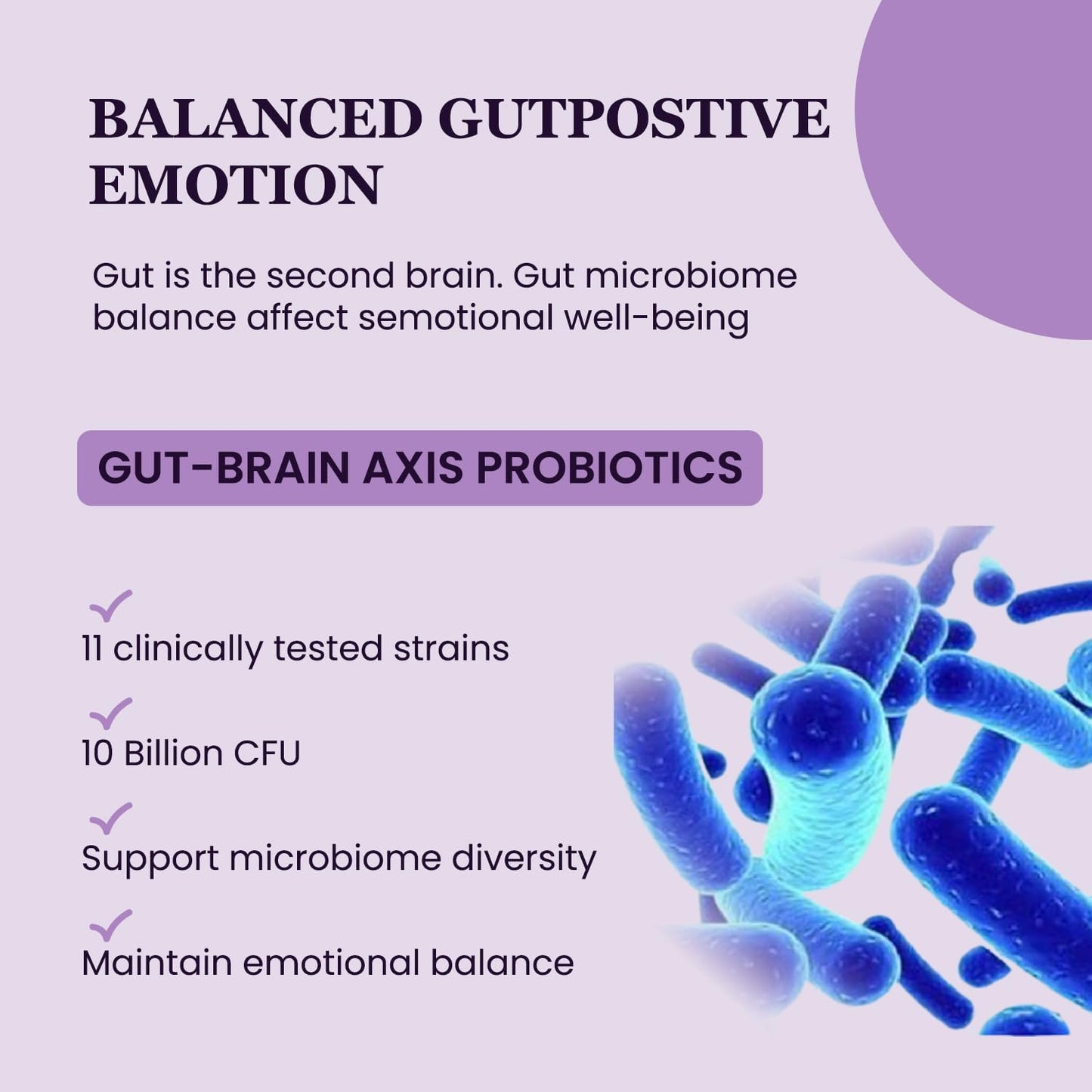 Organic Ashwagandha Saffron Probiotic Supplements for Stress Relief, Mood Enhancement, and Focus - Vegan Capsules with L-Theanine and Rhodiola