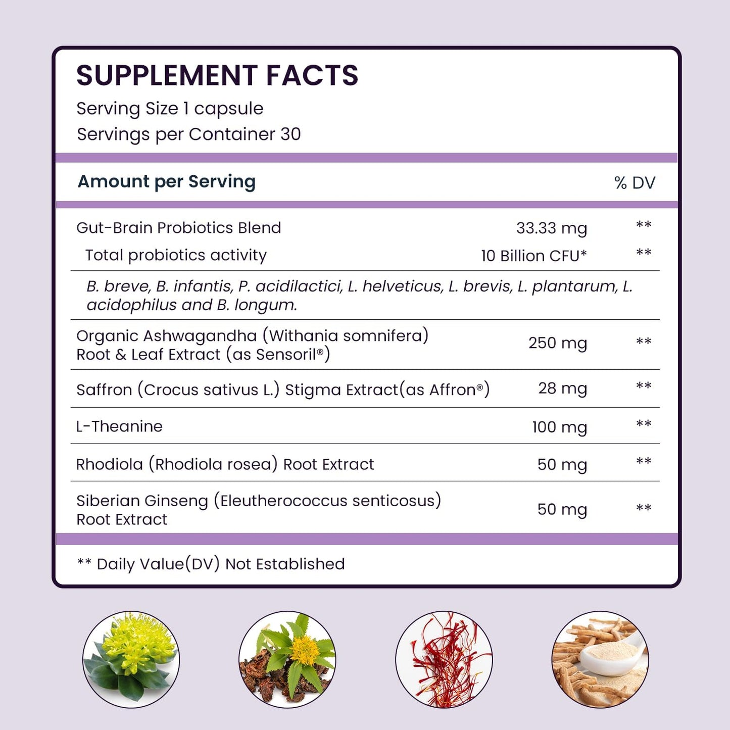 Organic Ashwagandha Saffron Probiotic Supplements for Stress Relief, Mood Enhancement, and Focus - Vegan Capsules with L-Theanine and Rhodiola