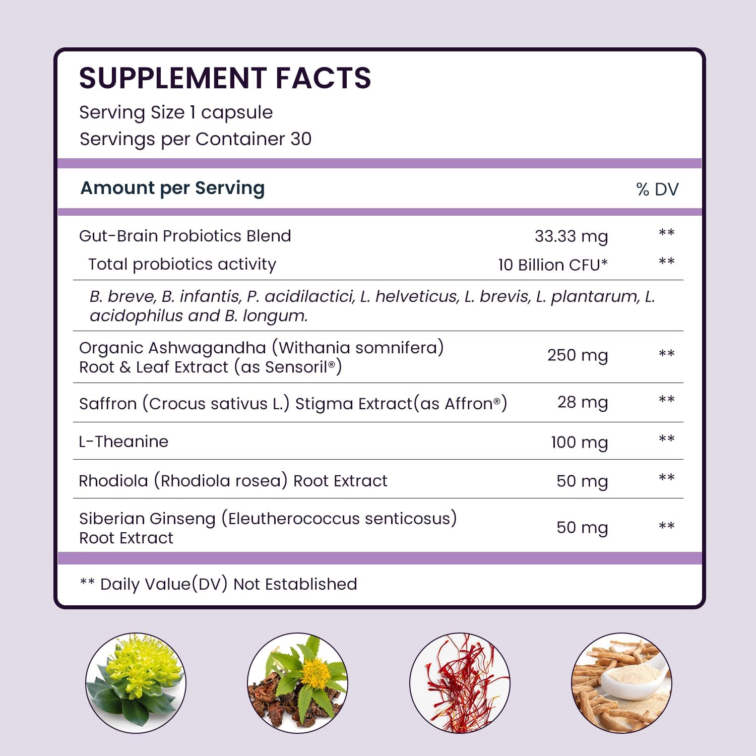 Organic Ashwagandha Saffron Probiotic Supplements for Stress Relief, Mood Enhancement, and Focus - Vegan Capsules with L-Theanine and Rhodiola