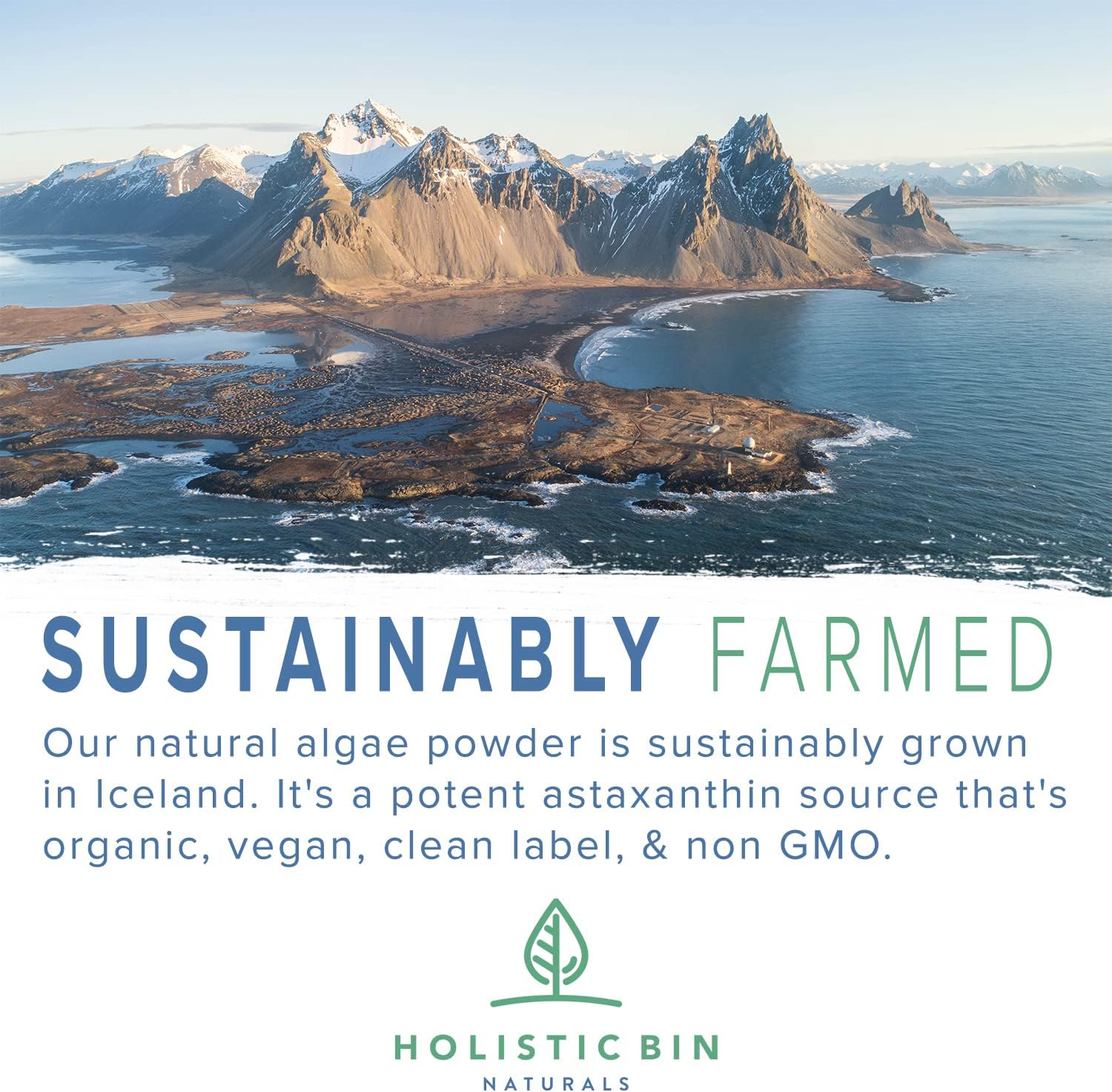 Organic Astaxanthin Powder: Powerful Antioxidant from Haematococcus Pluvialis Algae (20g)