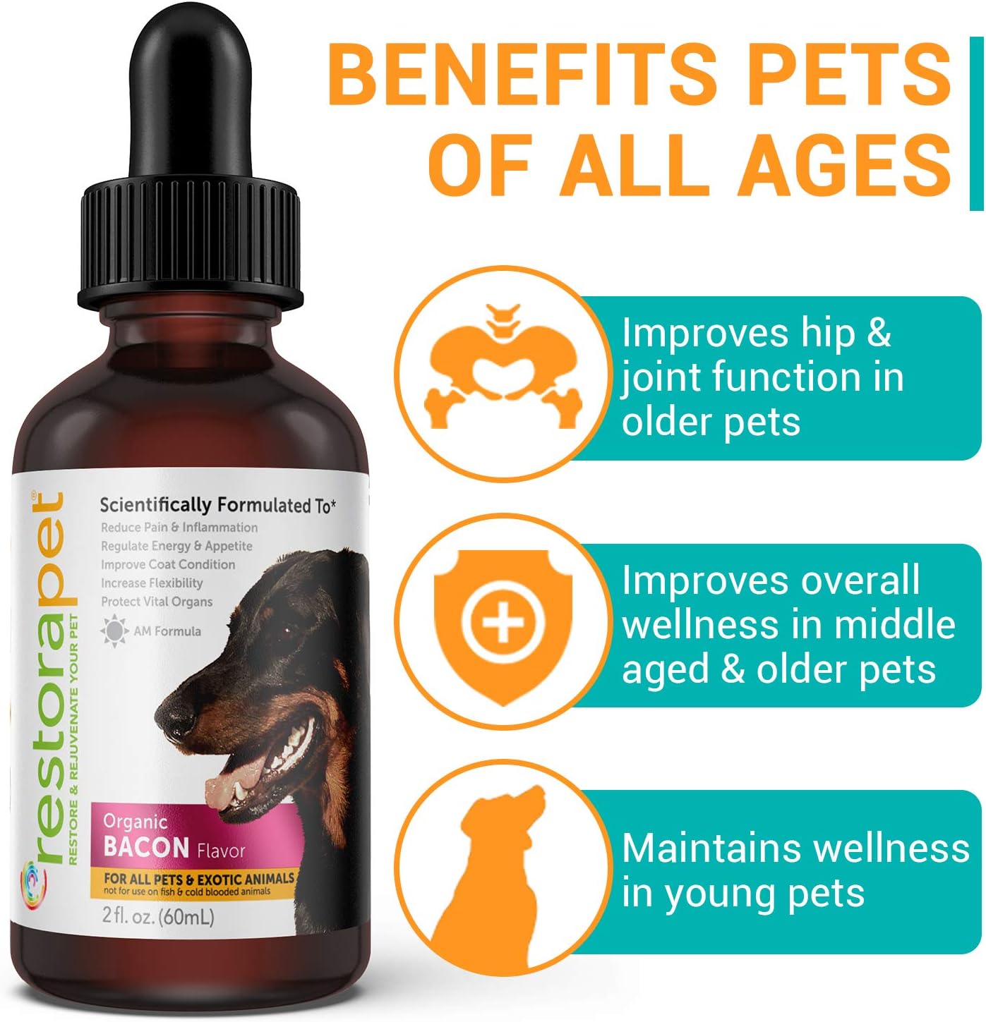 Organic Bacon Flavored Liquid Multivitamin for Dogs & Cats - Hip & Joint Vitamins for Arthritis Pain Relief - Anti Inflammatory Supplement - RestoraPet 1-Pack - Vet Approved & Non-GMO