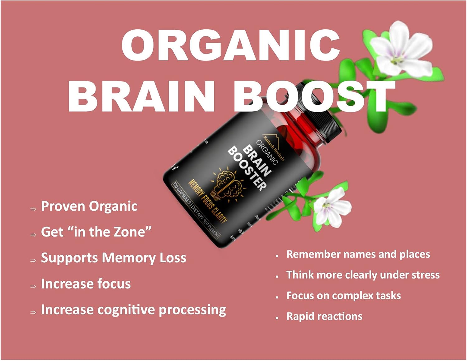Organic Bacopa Monnieri Nootropic Brain Supplement for Mental Focus and Memory - 120 Capsules, 500mg - Kailash Herbals