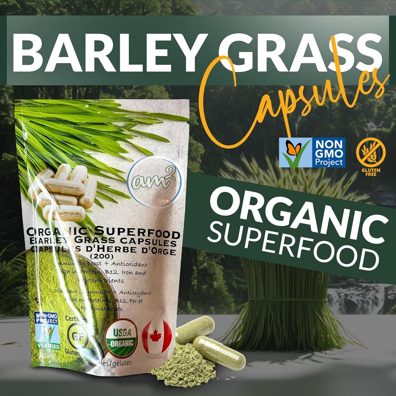 Organic Barley Grass Capsules - Pure Juice Powder, Green Superfood Supplement - High in Fiber & Antioxidants - Boost Immunity & Digestive Health - 200 Capsules