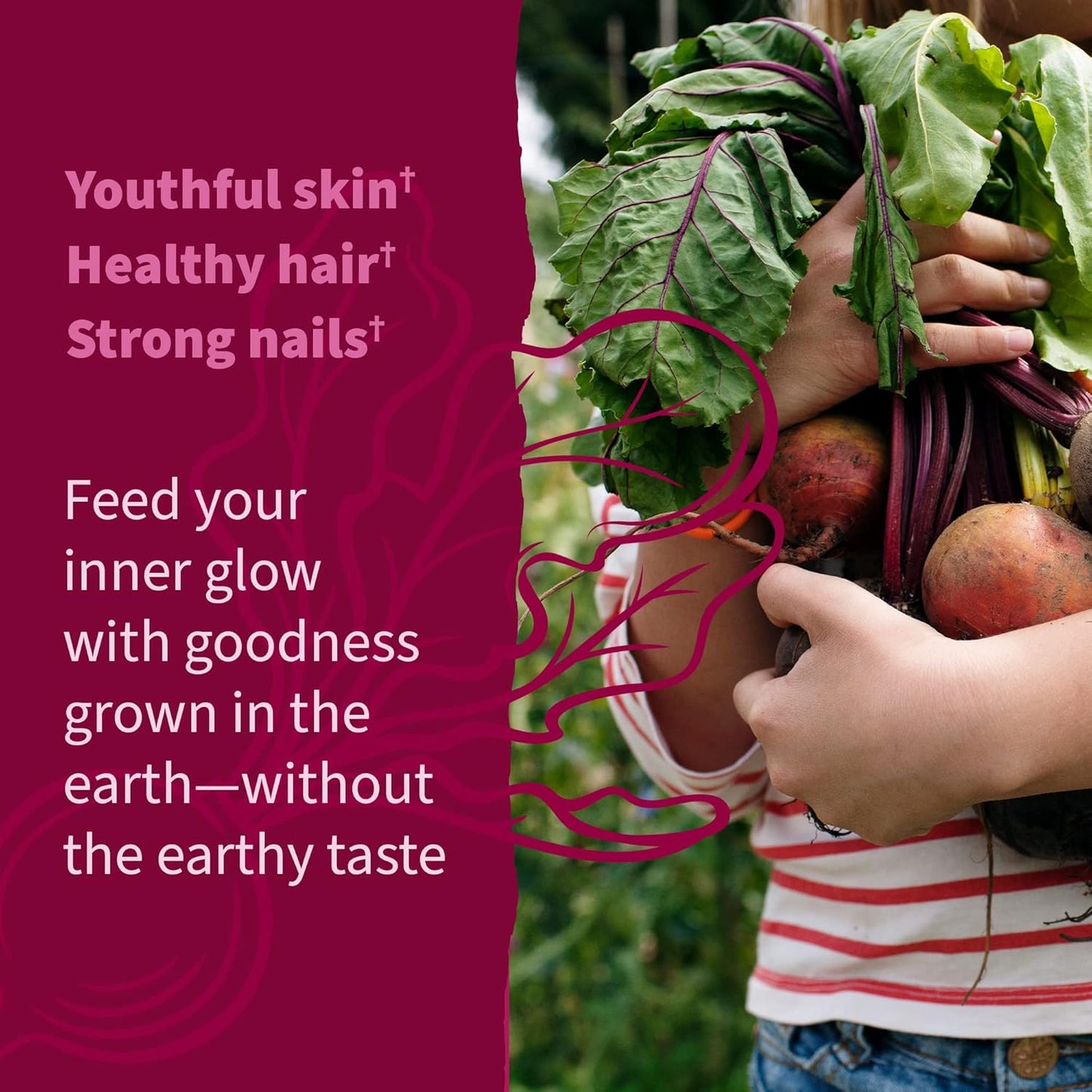 Organic Beet Root Beauty Gummies with Antioxidants, Vitamin C, Biotin & B12 - Vegan, Gluten Free, Non GMO - Raspberry Flavor, 30 Servings