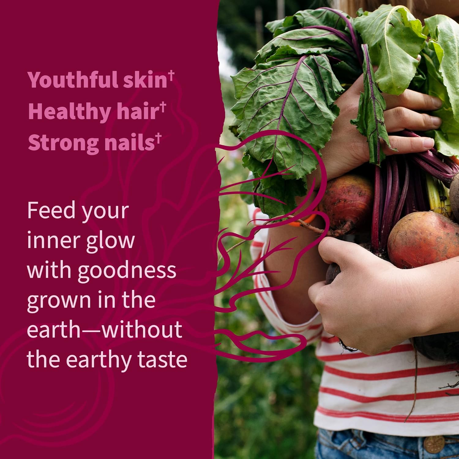 Organic Beet Root Beauty Gummies with Antioxidants, Vitamin C, Biotin & B12 - Vegan, Gluten Free, Non GMO - Raspberry Flavor, 30 Servings