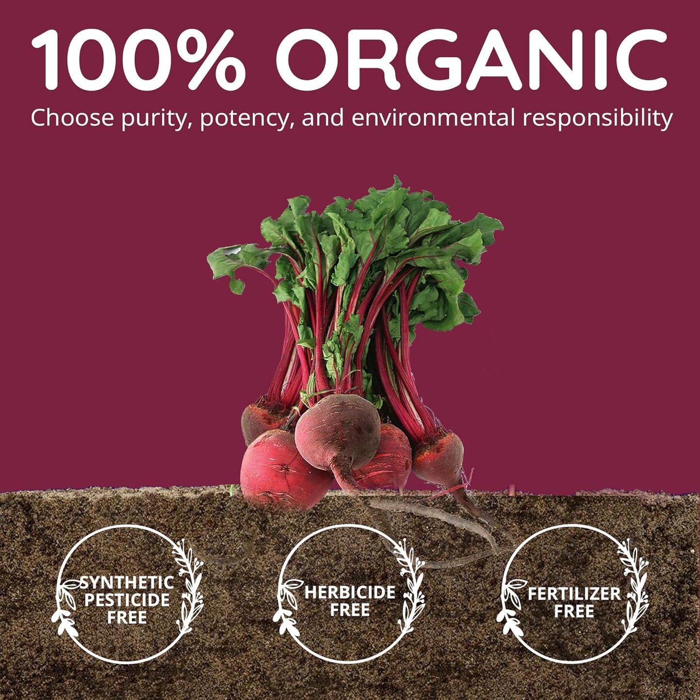 Organic Beet Root Capsules with Vegan Collagen Builder and Hyaluronic Acid for a Happy Healthy Hippie Lifestyle