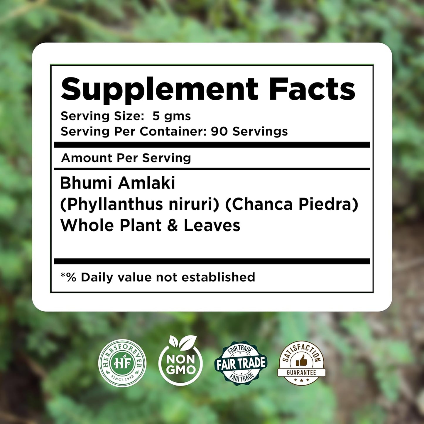 Organic Bhumy Amalaki Powder (Chanca Piedra) - 230g | Supports Healthy Liver, Kidney, Gallbladder | Detox Function | Phyllanthus Niruri