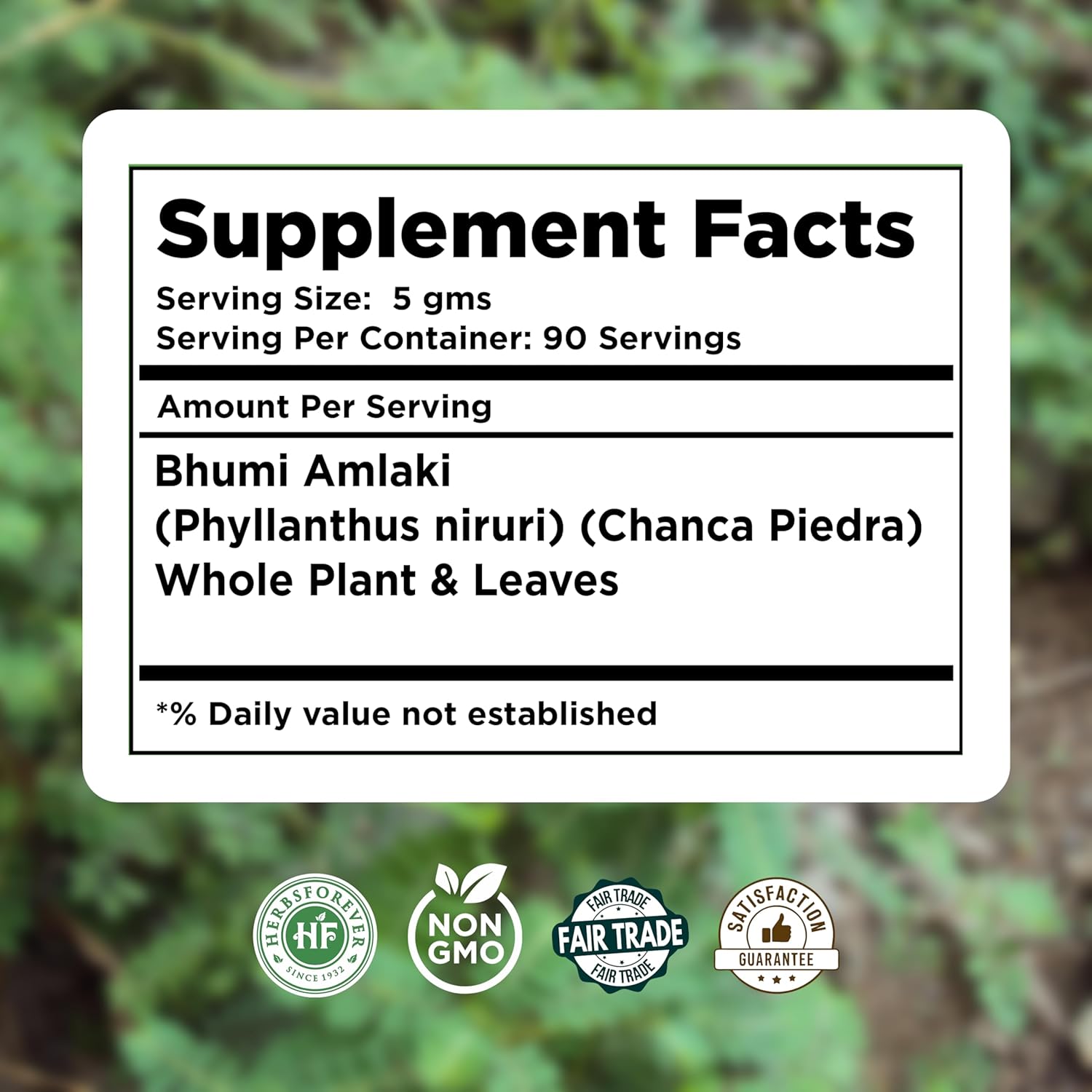 Organic Bhumy Amalaki Powder (Chanca Piedra) - 230g | Supports Healthy Liver, Kidney, Gallbladder | Detox Function | Phyllanthus Niruri