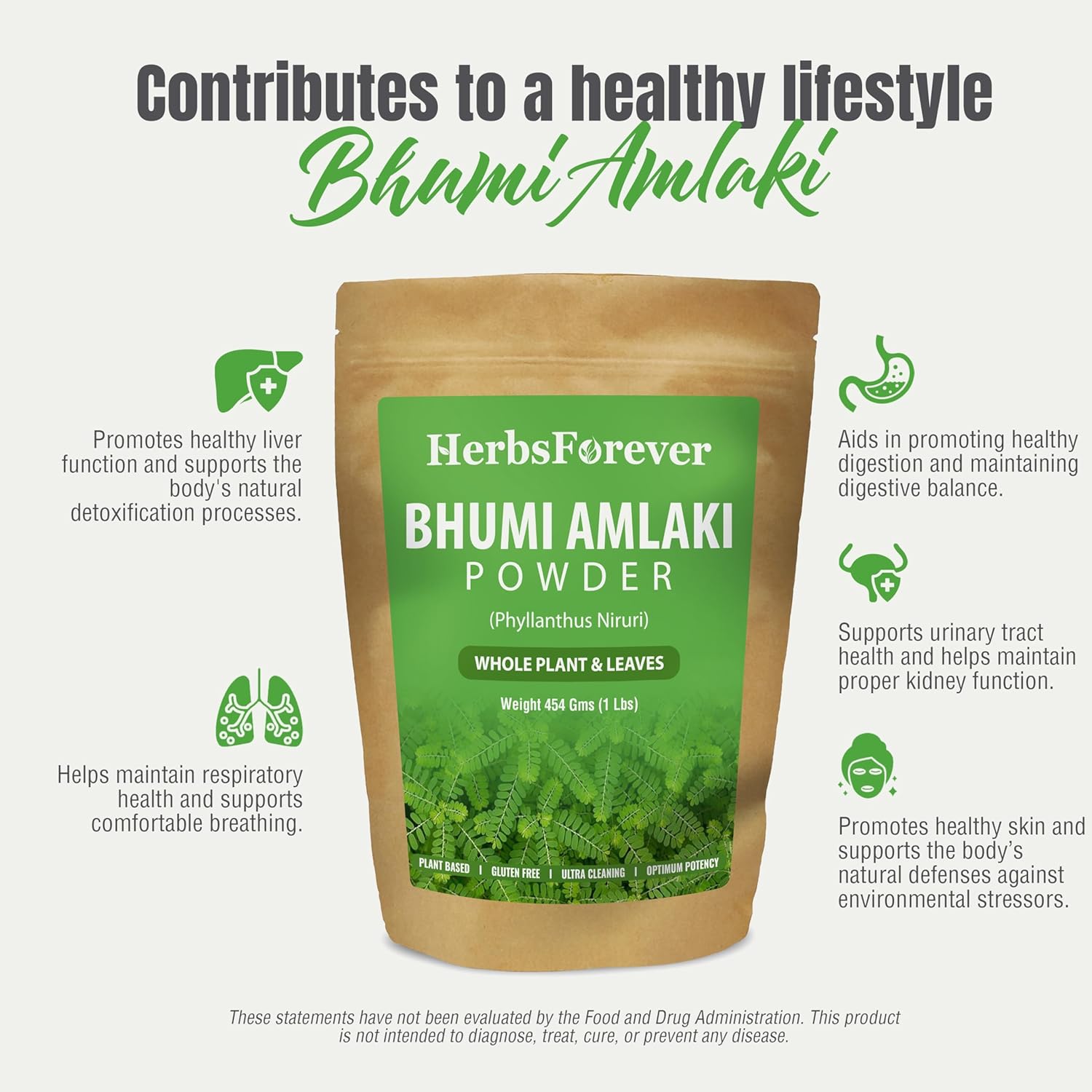 Organic Bhumy Amalaki Powder (Chanca Piedra) - 230g | Supports Healthy Liver, Kidney, Gallbladder | Detox Function | Phyllanthus Niruri