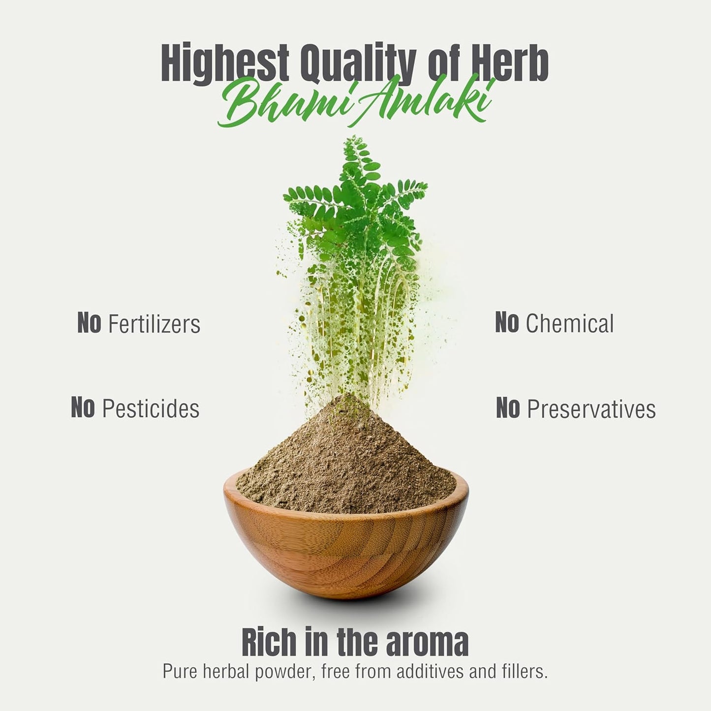 Organic Bhumy Amalaki Powder (Chanca Piedra) - 230g | Supports Healthy Liver, Kidney, Gallbladder | Detox Function | Phyllanthus Niruri