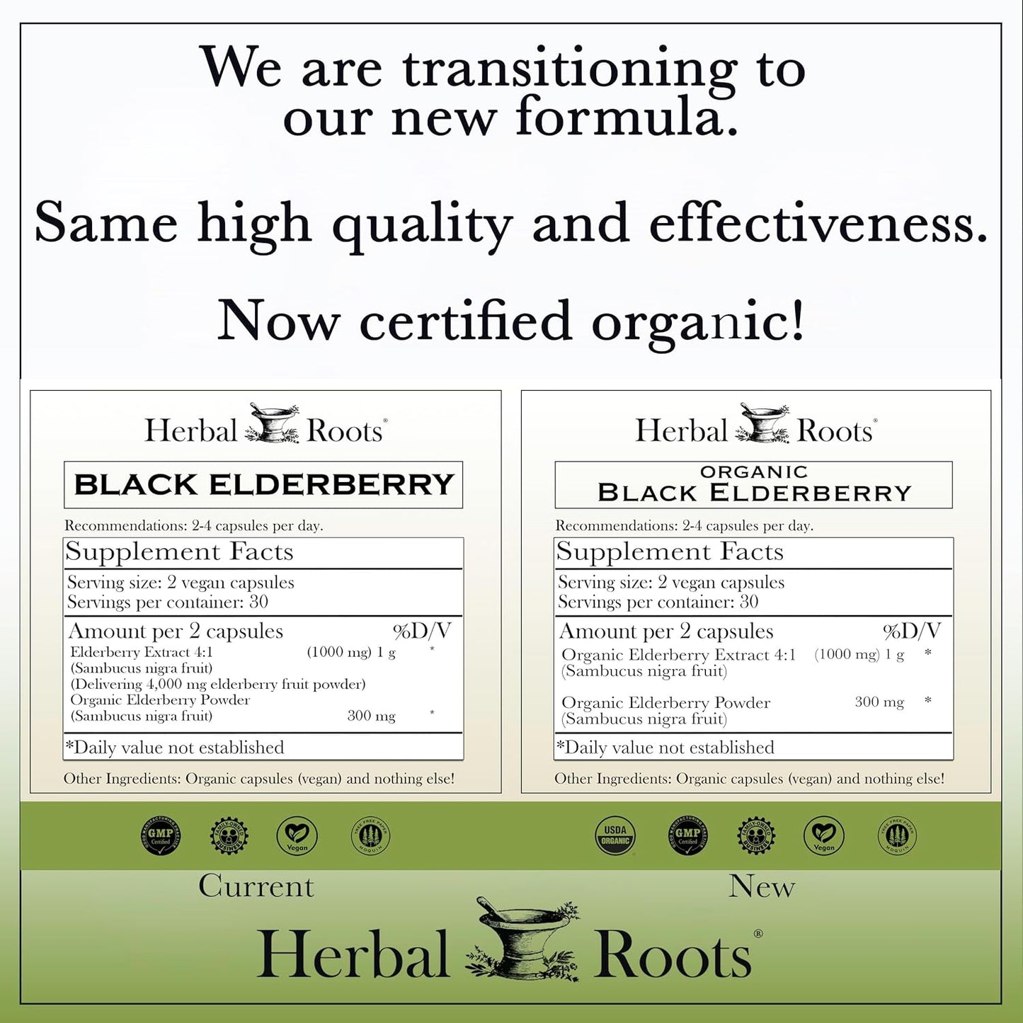 Organic Black Elderberry Capsules | Max Strength | Vegan | Made with Organic Sambucus | 60 Capsules