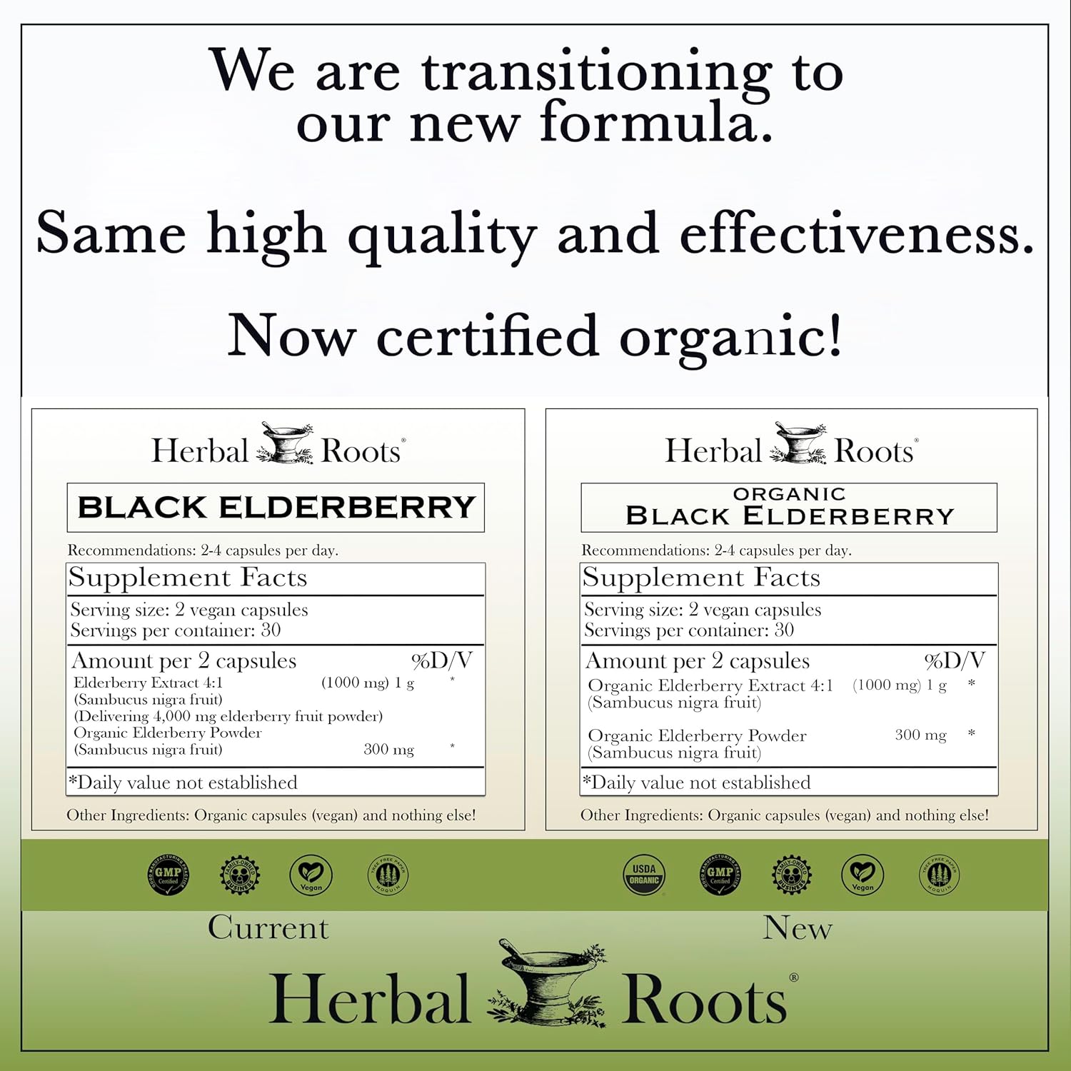 Organic Black Elderberry Capsules | Max Strength | Vegan | Made with Organic Sambucus | 60 Capsules