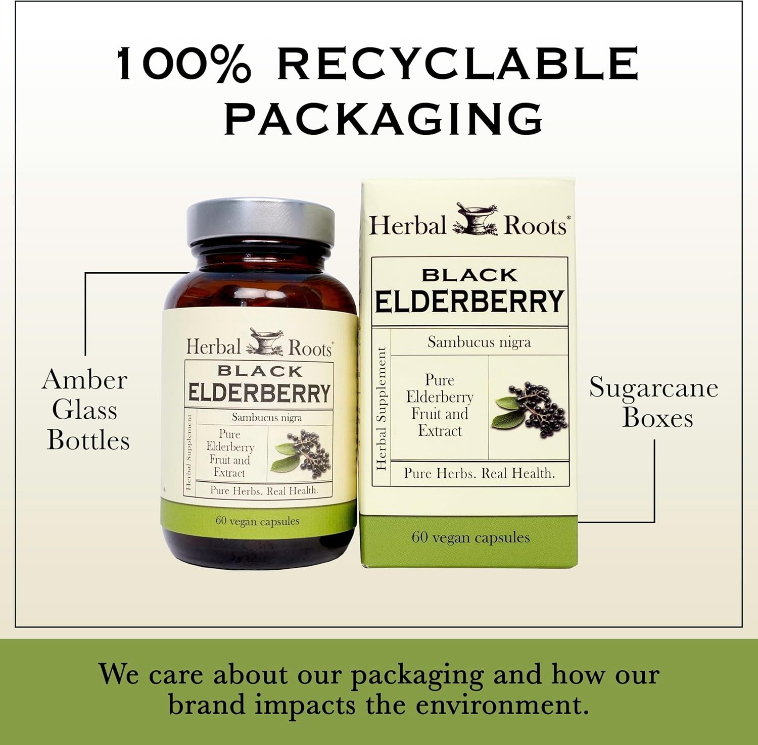 Organic Black Elderberry Capsules | Max Strength | Vegan | Made with Organic Sambucus | 60 Capsules