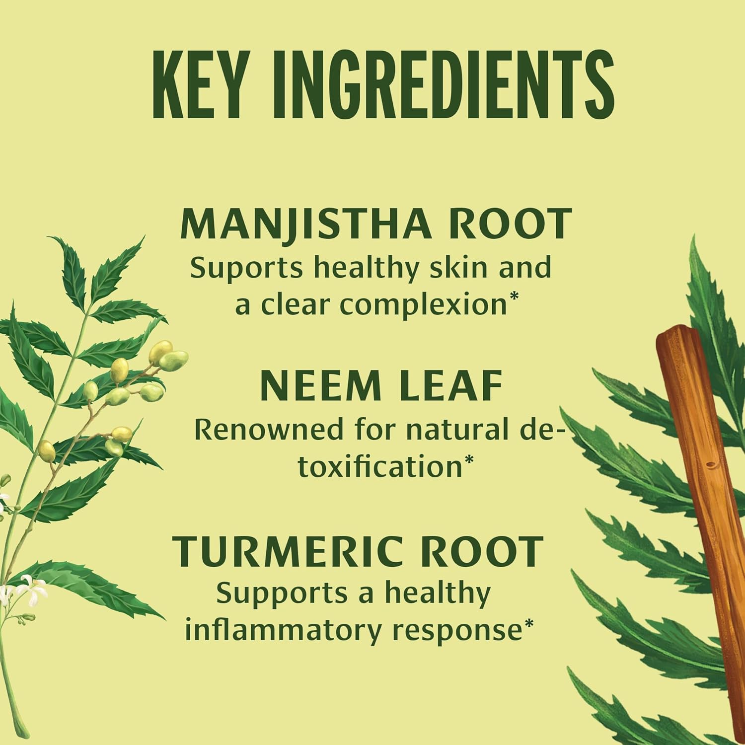 Organic Blood Cleanse Tablets with Manjistha & Neem for Clear Skin - Herbal Blood Cleanser Detox Supplement - 90 Vegan Tablets