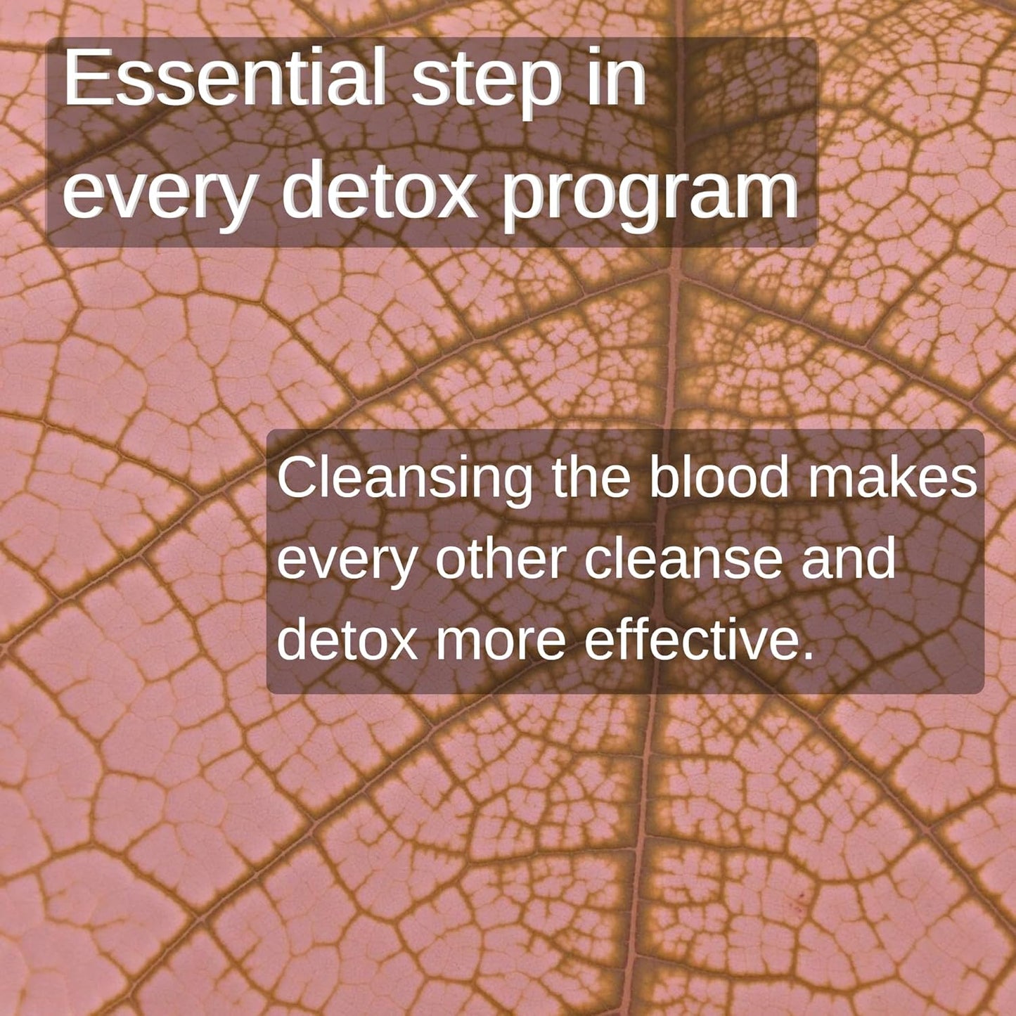 Organic Blood Cleansing Tea with Echinacea and Chamomile - Supports Natural Detoxification and Waste Removal from Blood Stream