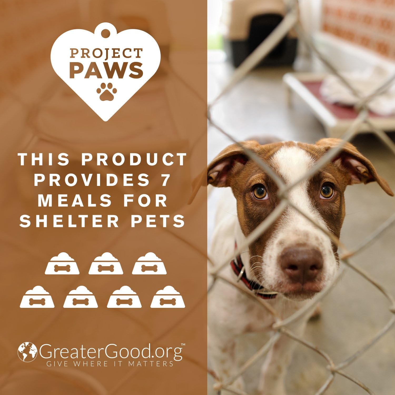 Organic Bone Broth with Elk Antler Powder for Dogs - Nutrient-Rich Superfood Topper - Natural Multivitamin Supplement for Dogs - 4 oz