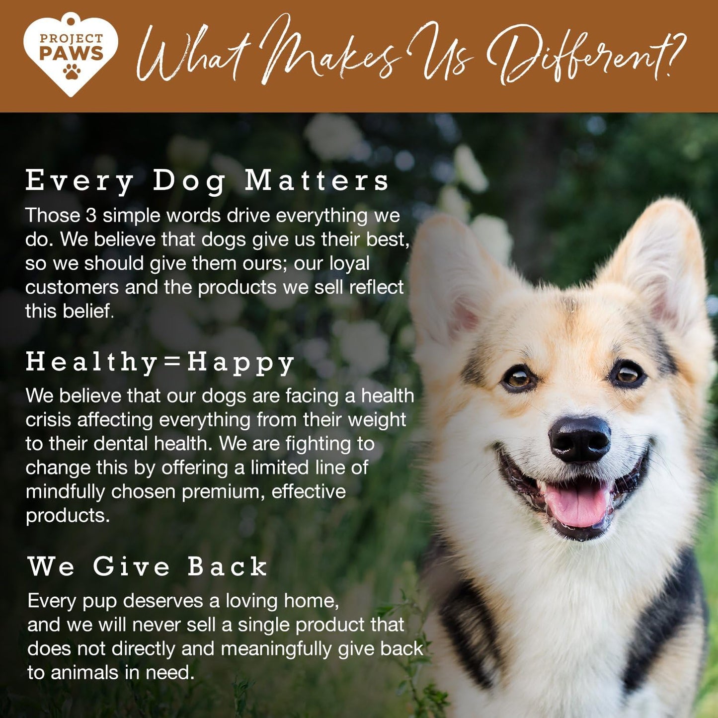 Organic Bone Broth with Elk Antler Powder for Dogs - Nutrient-Rich Superfood Topper - Natural Multivitamin Supplement for Dogs - 4 oz