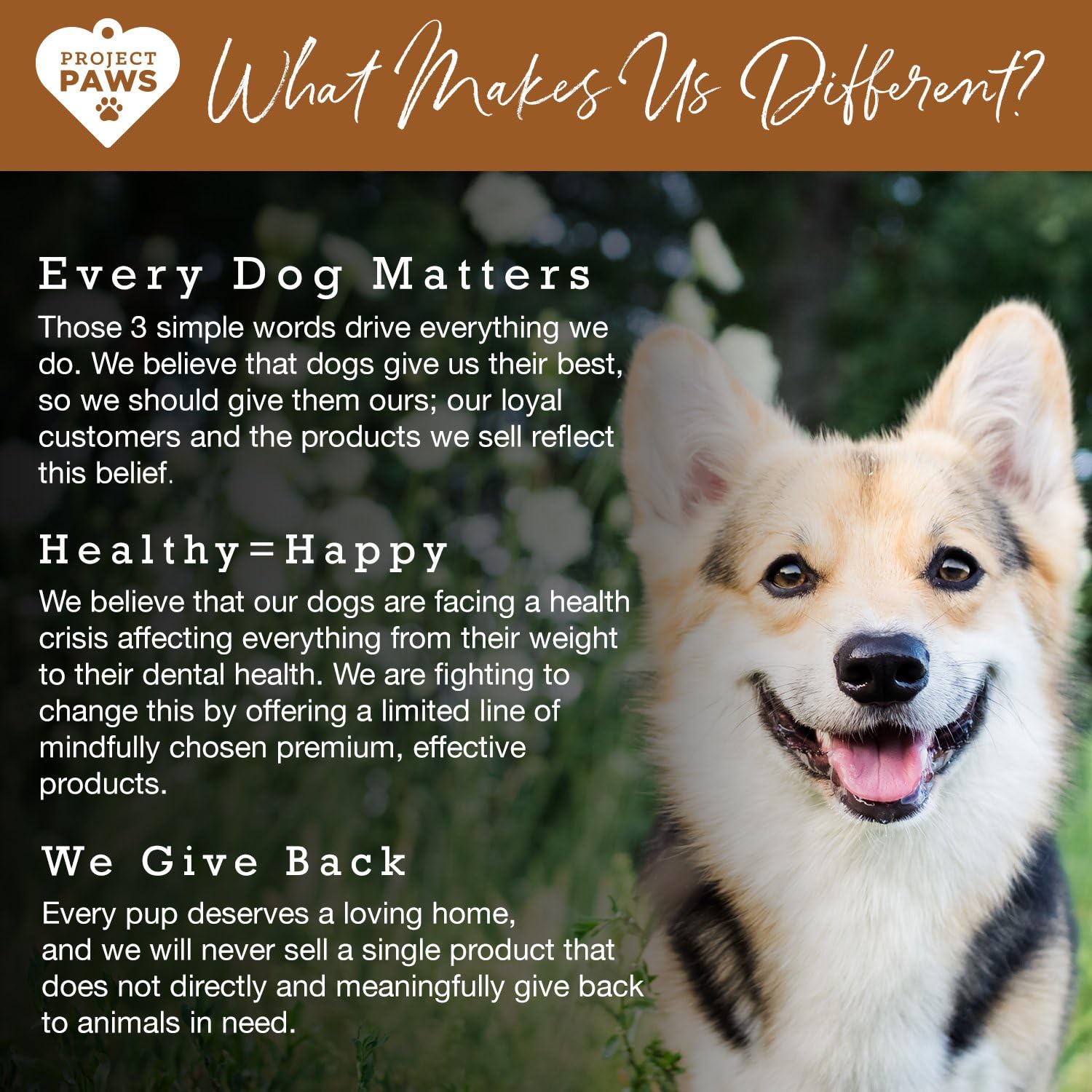 Organic Bone Broth with Elk Antler Powder for Dogs - Nutrient-Rich Superfood Topper - Natural Multivitamin Supplement for Dogs - 4 oz