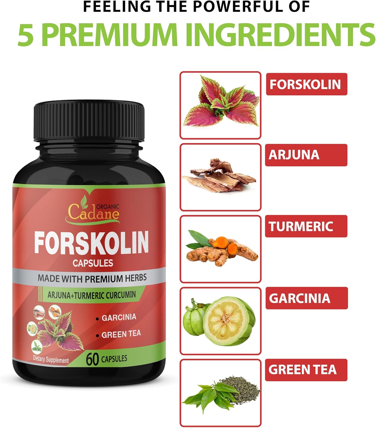 Organic Cadane 2 Pack Forskolin Supplements Capsules with Turmeric, Arjuna, Garcinia Cambogia, Green Tea - Maximum Strength Coleus Forskohlii Extract for Energy & Immune Support