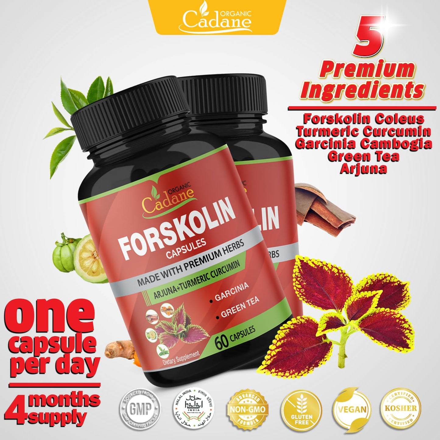 Organic Cadane 2 Pack Forskolin Supplements Capsules with Turmeric, Arjuna, Garcinia Cambogia, Green Tea - Maximum Strength Coleus Forskohlii Extract for Energy & Immune Support