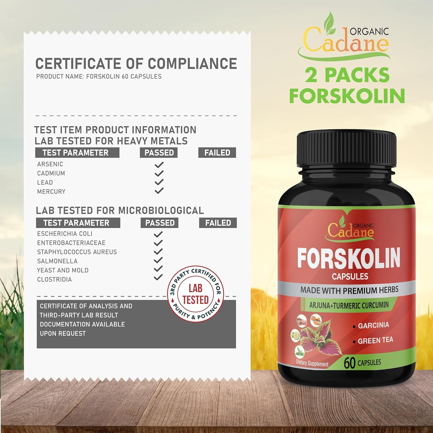 Organic Cadane 2 Pack Forskolin Supplements Capsules with Turmeric, Arjuna, Garcinia Cambogia, Green Tea - Maximum Strength Coleus Forskohlii Extract for Energy & Immune Support