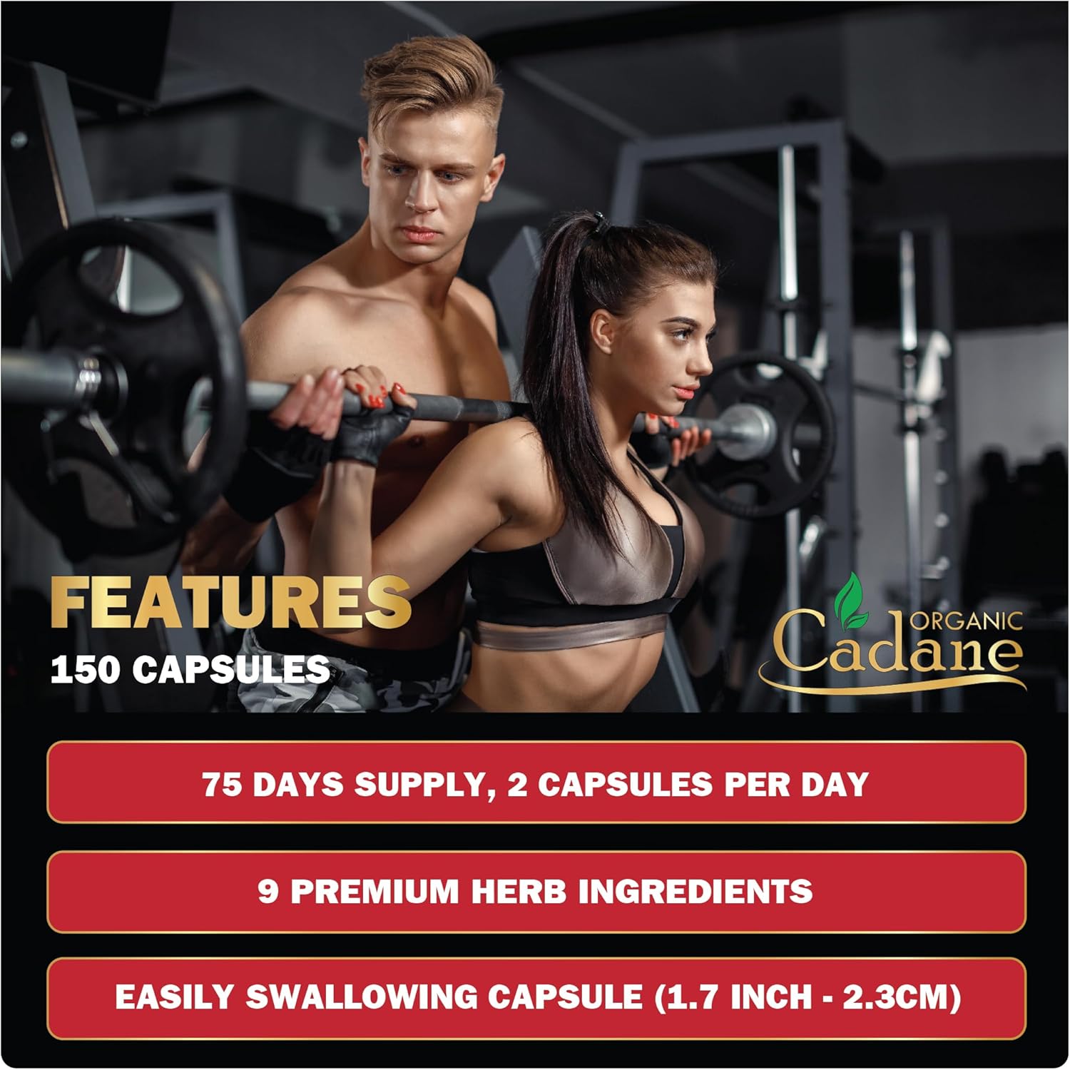 Organic Cadane Berberine Extract Capsules with Neem Leaf, Apple Cider Vinegar, Vitamin D3 & E - Immune System & Digestive Support