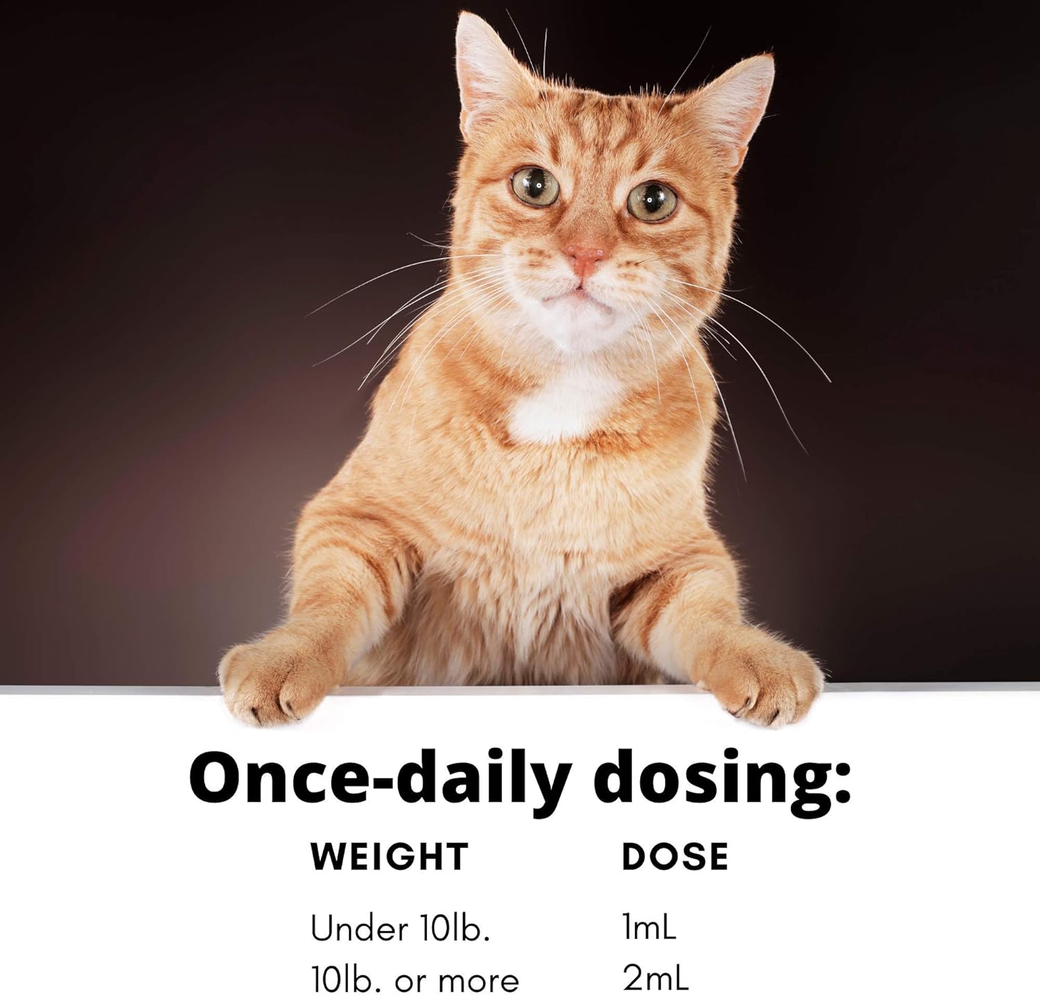 Organic Cat Supplement for Mobility & Energy | Antioxidant Anti-Inflammatory Drops | Tuna Flavored Joint Support for Cats