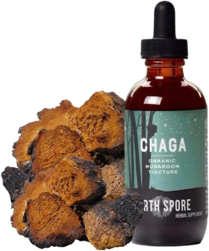 Organic Chaga Mushroom Tincture for Energy & Wellness | Adaptogenic Superfood Drops | Dual Extract Blend, 100% Fruiting Bodies | Non-GMO, Vegan - 2oz