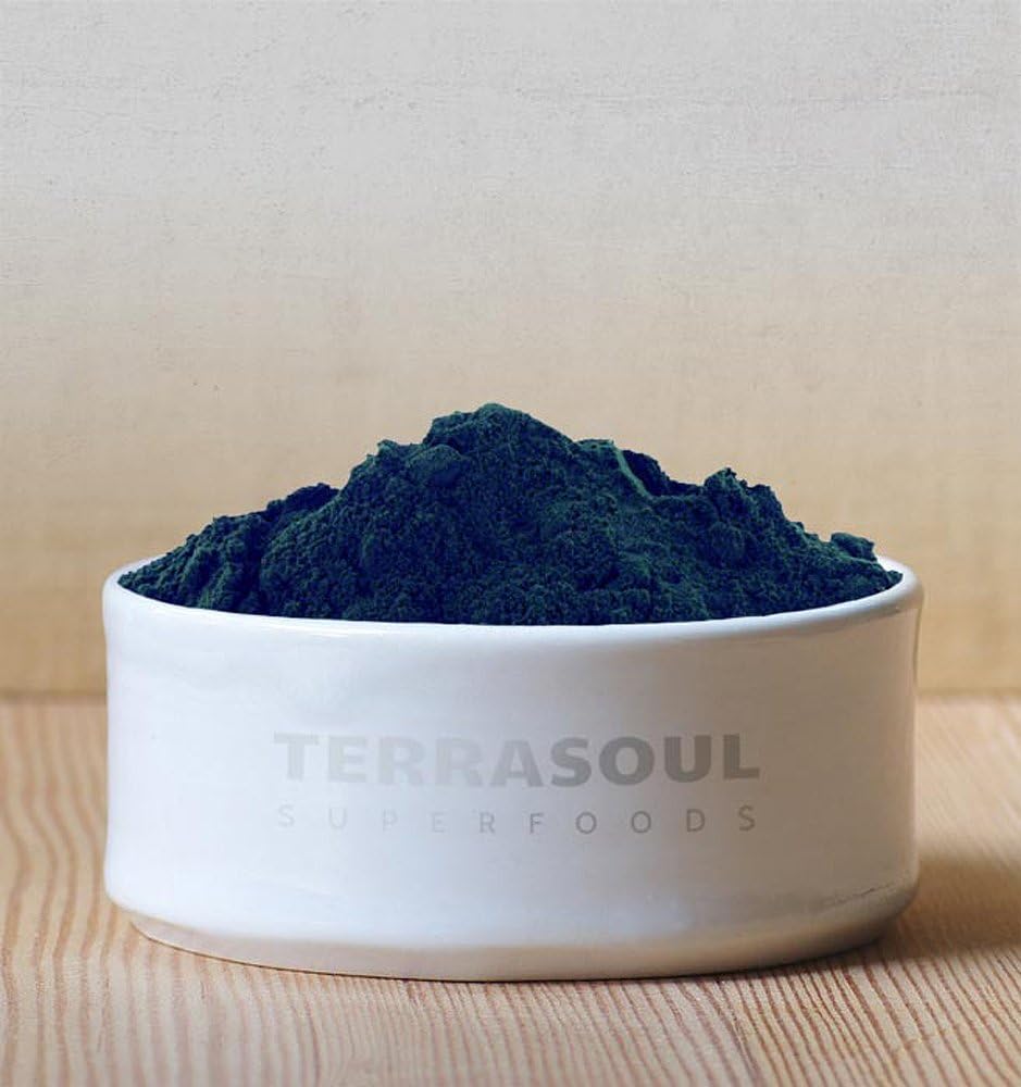 Organic Chlorella Powder with Cracked Cell Walls - 24 Oz (2 Pack) by Terrasoul Superfoods